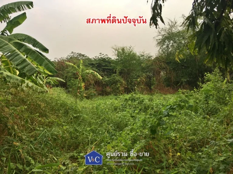 ที่ดินเปล่าเนื้อที่ 160 ตรว ถพระราม 9 ซ19 แขวงบางกะปิ