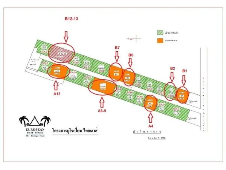 บ้าน มยูโรเปี้ยนไทยเฮ้าส์ พัทยา 3 นอน 0 RAI 1 งาน 95 ตารางวา