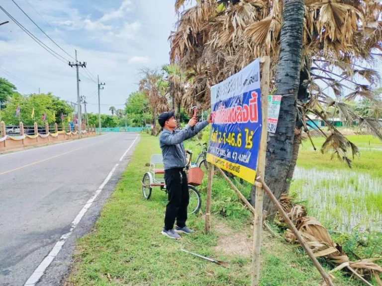 ขายต่ำกว่าตลาดที่ดิน 2 ไร่ ตหนองงูเหลียม อเฉลิมพระเกียรติ