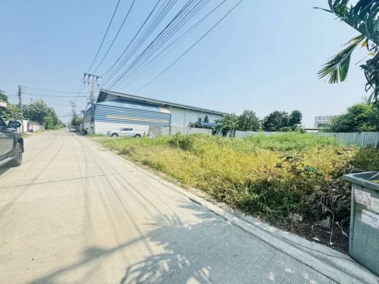 ขายถูกที่ดินเฉลิมพระเกียรติ48แยก14และทางแยก10-1 ประเวศ