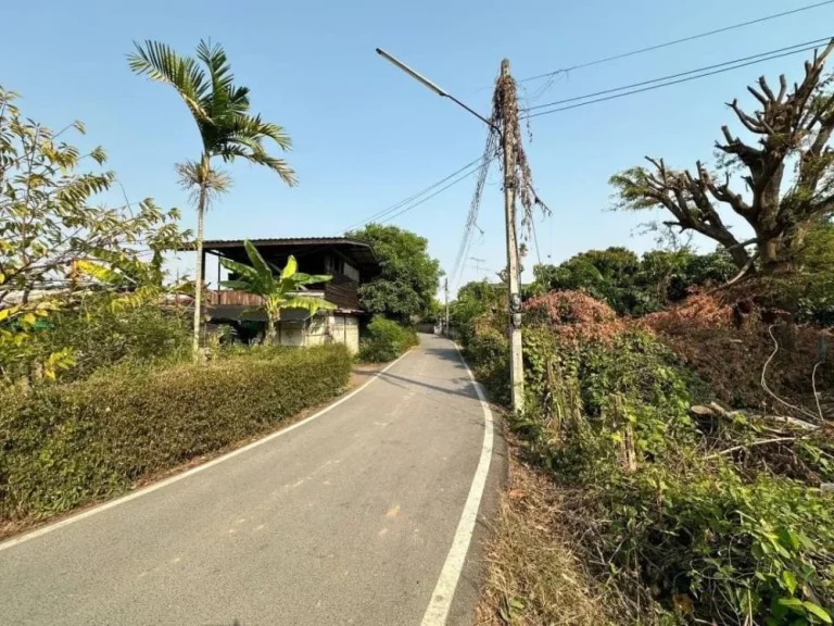 ขายที่ดินกิ่วแล ติดลำเหมือง 213 ตรว อสันป่าตอง เชียงใหม่