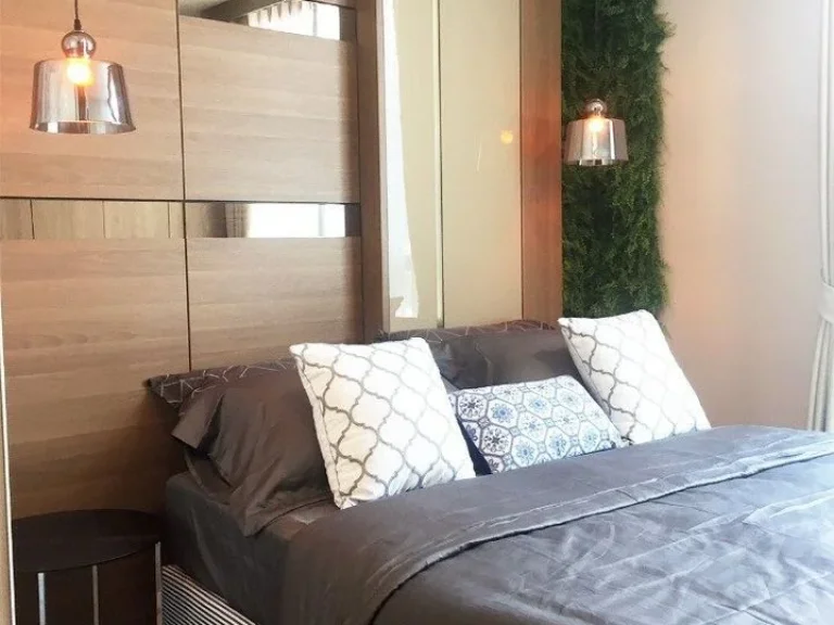 แชมเบอร์ส ชาน ลาดพร้าว-วังหิน ขนาด 31 sqm 1 bed เช่า