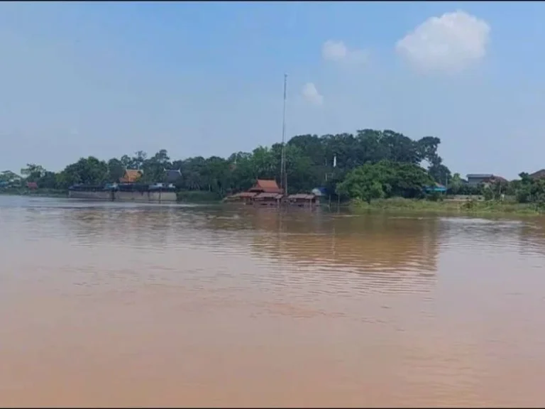 ขายที่ดินริมแม่น้ำเจ้าพระยา 2 ไร่ อยุธยา-อ่างทอง ป่าโมก