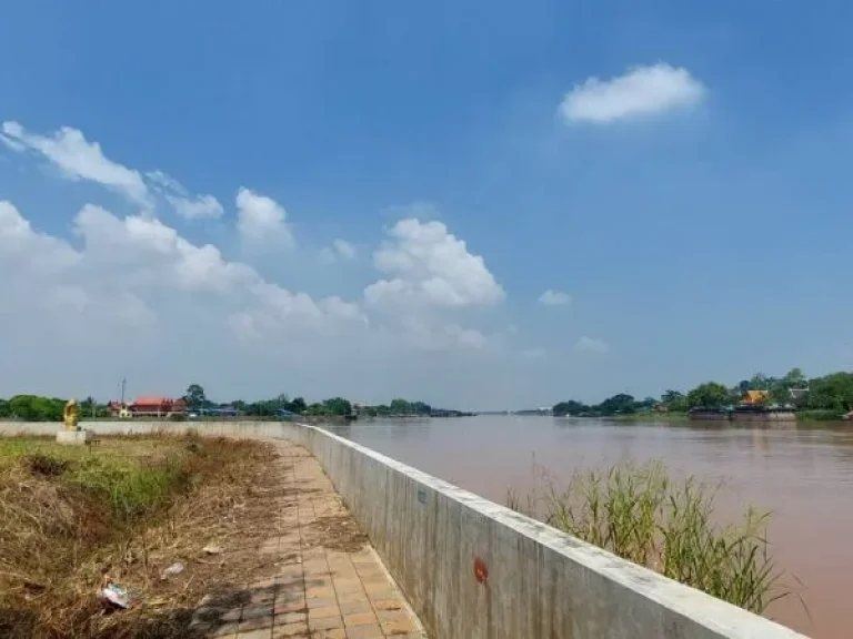 ขายที่ดินริมแม่น้ำเจ้าพระยา 2 ไร่ อยุธยา-อ่างทอง ป่าโมก