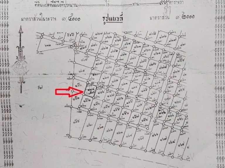 ขายที่ดิน เหมาะสำหรับปลูกบ้านพักอาศัย เนื้อที่ 99 ตารางวา