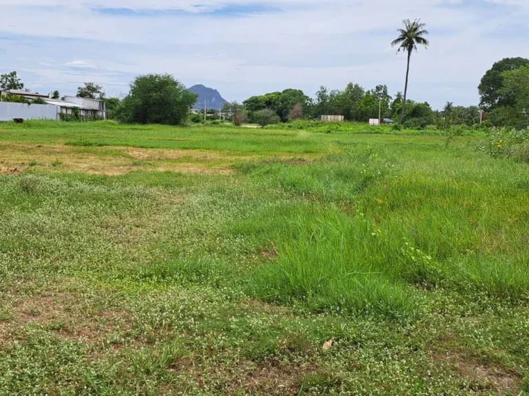 ขายที่ดินสวย 11ไร่ อยู่ระหว่างทางไปชะอำและหัวหิน