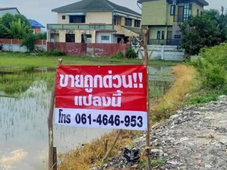 ขายต่ำกว่าราคาตลาด ถูกที่สุดในโซนนี้ ที่ดินเปล่า