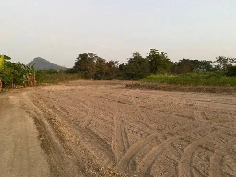 ขายที่ดินเปล่าบางเสร่ พื้นที่สีเหลือง ทำเลดี ใกล้ชายหาดสัตหีบ