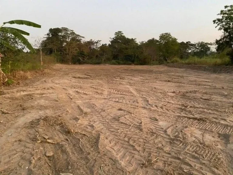 ขายที่ดินเปล่าบางเสร่ พื้นที่สีเหลือง ทำเลดี ใกล้ชายหาดสัตหีบ