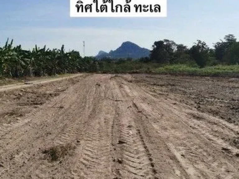 ขายที่ดินเปล่าบางเสร่ พื้นที่สีเหลือง ทำเลดี ใกล้ชายหาดสัตหีบ