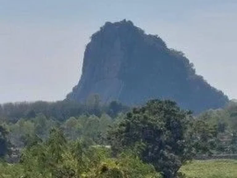 ขายที่ดินเปล่าบางเสร่ พื้นที่สีเหลือง ทำเลดี ใกล้ชายหาดสัตหีบ