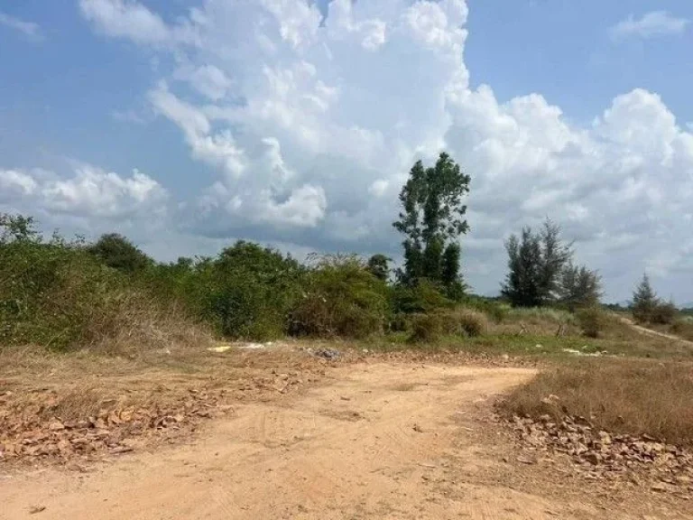 ขายที่ดินติดชายหาด แปลงงาม ตะพง เมืองระยอง จังหวัดระยอง