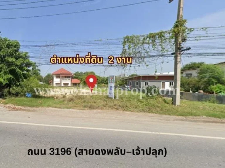 ที่ดิน ถ3196 สายดงพลับ-เจ้าปลุก เมืองลพบุรี