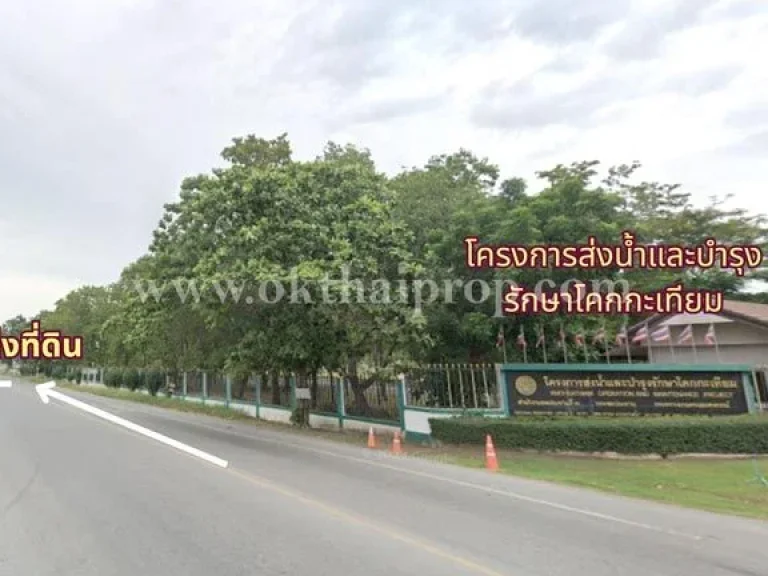 ที่ดิน ถ3196 สายดงพลับ-เจ้าปลุก เมืองลพบุรี