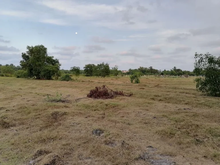 ขายที่ดิน 28 ไร่ เขารูปช้าง ตรงข้ามสวนสัตว์สงขลา ใกล้ทะเล