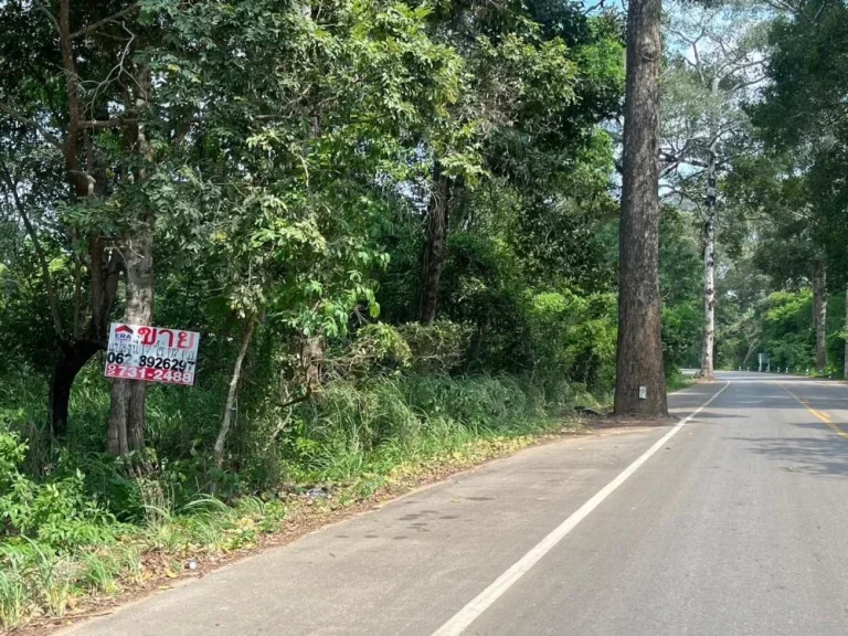 ขายที่ดิน ติดถนนหลัก-สุขุมวิท พื้นที่ 17 ไร่ 1 งาน 157 ตรว