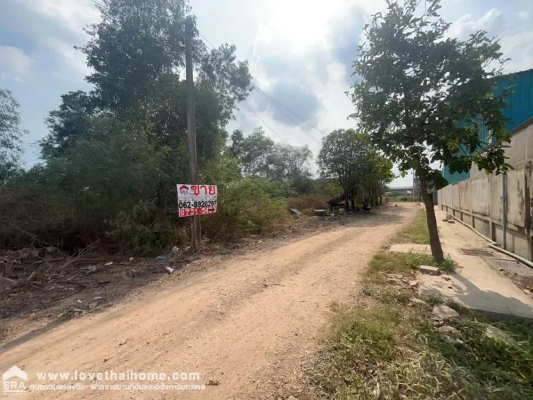 ขายที่ดิน ถมแล้ว คลองหลวง คลอง5 ถนนธัญบุรี ปทุมธานี พื้นที่