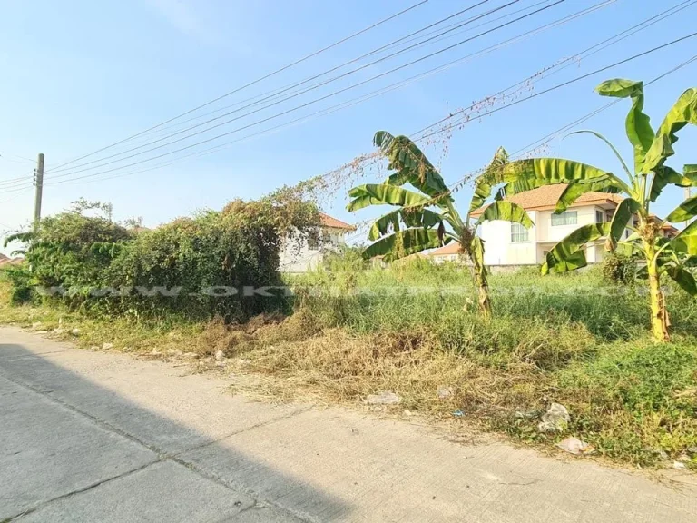 ที่ดิน มสำเภาทอง ถนนสุวินทวงศ์ ใกล้นิคมอุตสาหกรรมลาดกระบัง