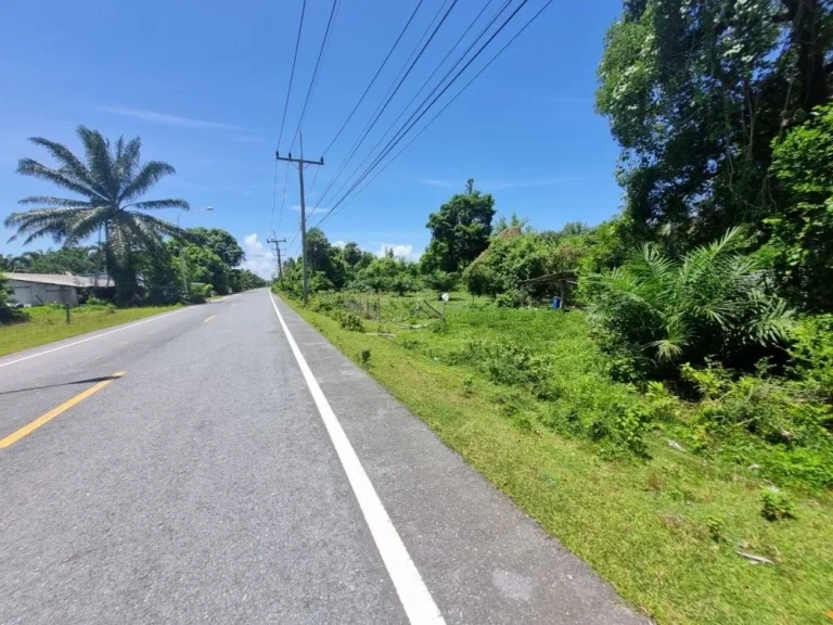 ที่ดินติดทะเล หาดยาว ในจังหวัดกระบี่ ที่ดินทำเลทอง