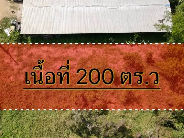 ขายด่วนที่ดินคลอง 12 เนื้อที่ 200 ตรว หนองเสือ ปทุมธานี