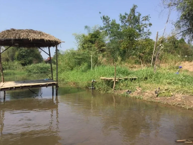 ขายที่ดินติดน้ำแม่ริมบ้านสะลวงแม่ริมทำเลดีหายากโฉนด