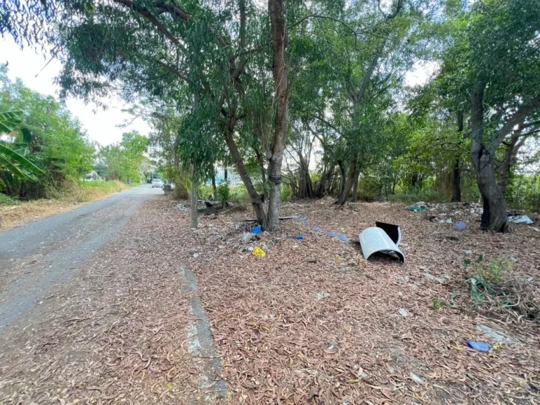 ขายด่วน ที่ดินเปล่า ใกล้วัดธรรมกาย คลอง 4 คลองหลวง ปทุมธานี