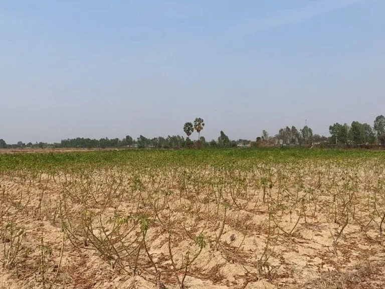 ขายที่ดินเปล่า แปลงใหญ่ วิวดี อำเภอเลาขวัญ กาญจนบุรี