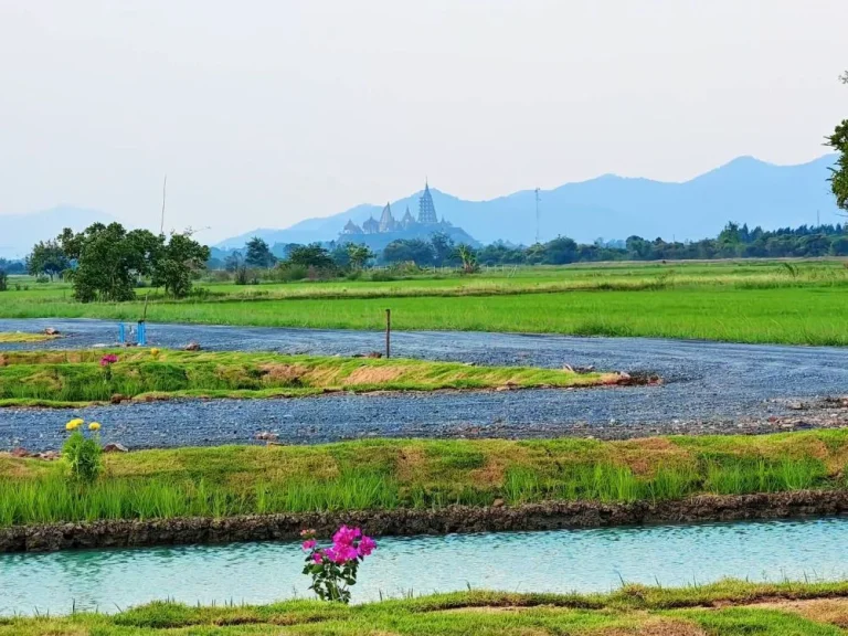 ขายที่ดิน 172 ตรวใกล้วัดถ้ำเสือ สด ผ่อน ตบ้านใหม่ ท่าม่วง