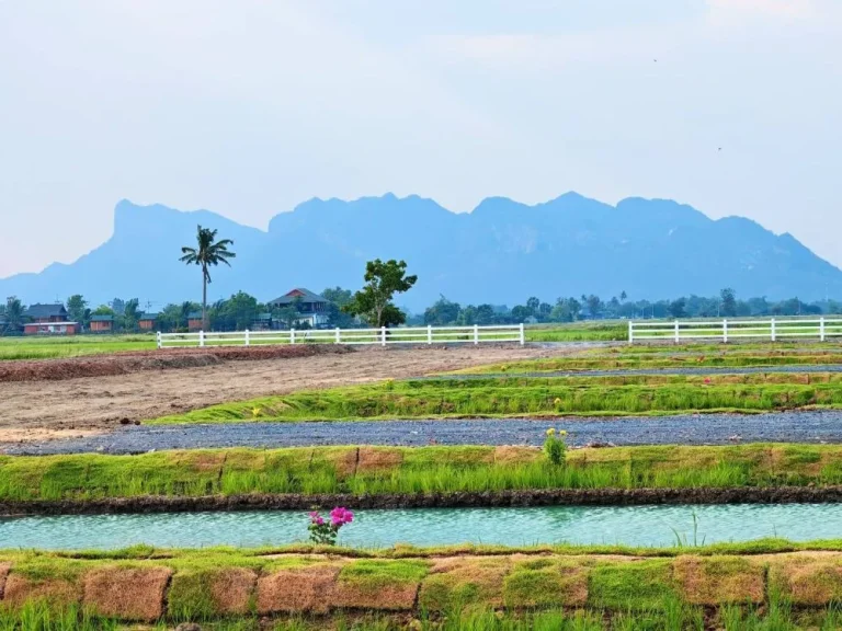 ขายที่ดิน 172 ตรวใกล้วัดถ้ำเสือ สด ผ่อน ตบ้านใหม่ ท่าม่วง