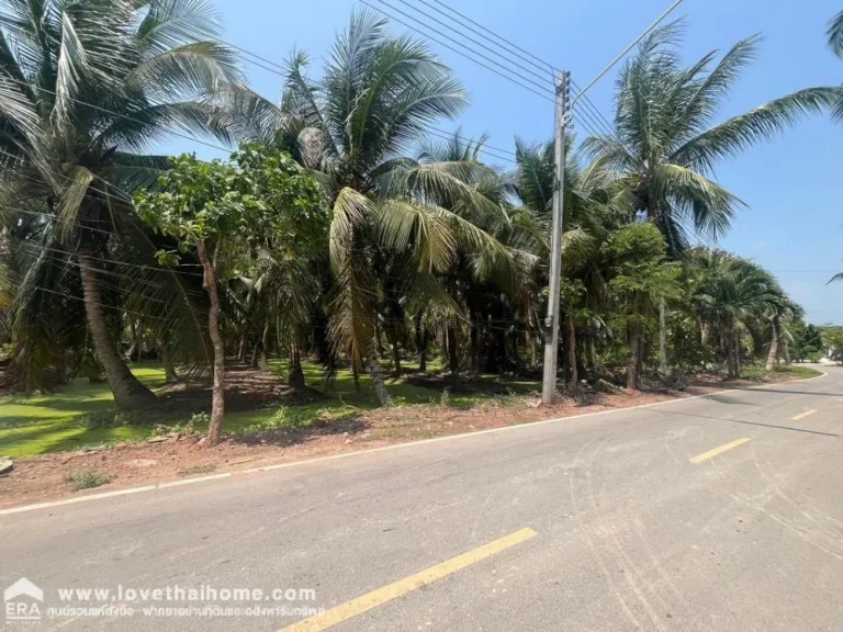 ขายที่ดินติดถนน ซอยบางสะแก ถนนพระราม2 ที่สวยสวนมะพร้าวพร้อมเ