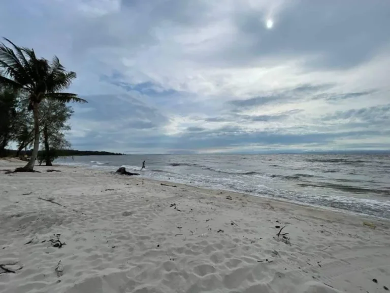 ขายที่ดินเปล่าแบ่งขาย ติดทะเล ขนาด 929 ตรว หาดไม้รุด คลองใหญ่