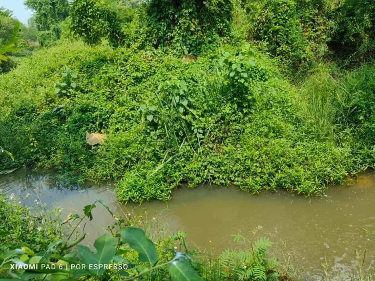 ขายที่ดินตำบลป่าป้องดอยสะเก็ตติดคลองถมดินเรียบร้อย