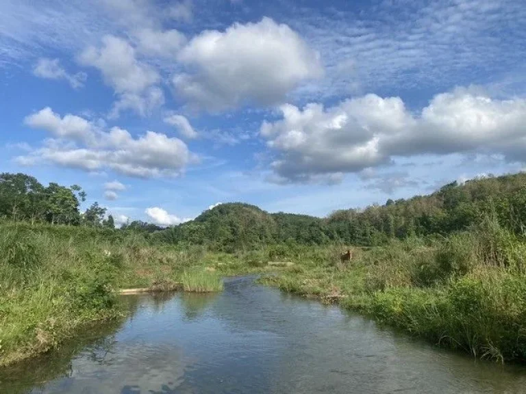 รวยทรัพย์ซื้อเก็บบ้านที่ดินเพื่ออนาคตร่ำรวย