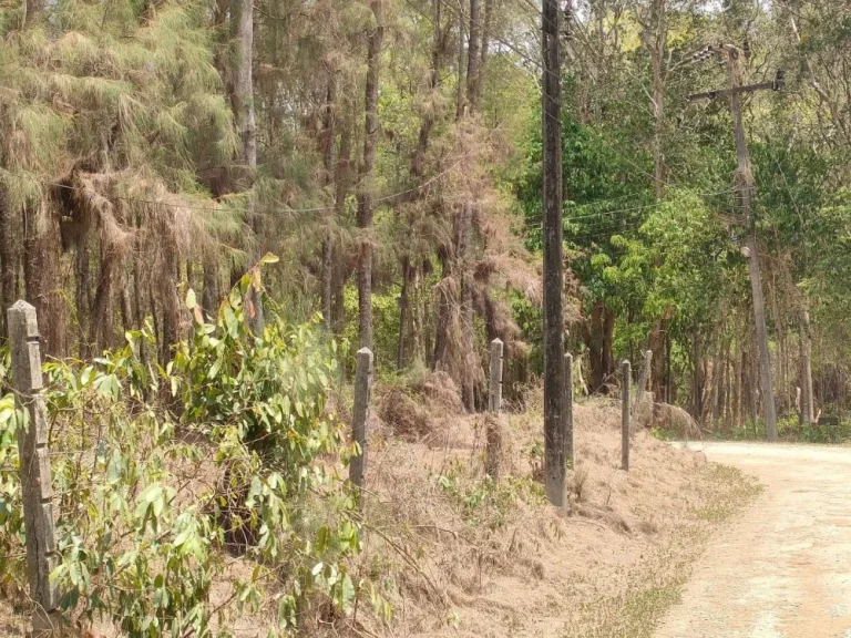 ขายที่ดินเปล่า 1 ไร่ใกล้หาดแหลมแม่พิมพ์ ที่ดินถมแล้วติดถนนมี