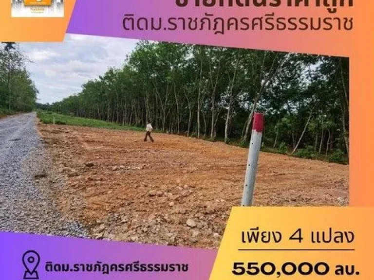 ขายที่ดินเปล่าเนื้อที่ 251 ตรว ซอย แบริ่ง 351 เขตบางนา