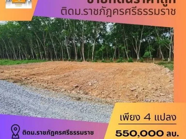 ขายที่ดินเปล่าเนื้อที่ 251 ตรว ซอย แบริ่ง 351 เขตบางนา