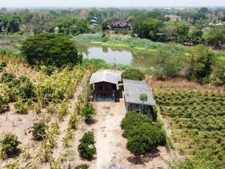 บ้านสวนติดน้ำปิงพร้อมสวนลำไยและที่งอก ป่าซางลำพูนเดินทางสะดวก