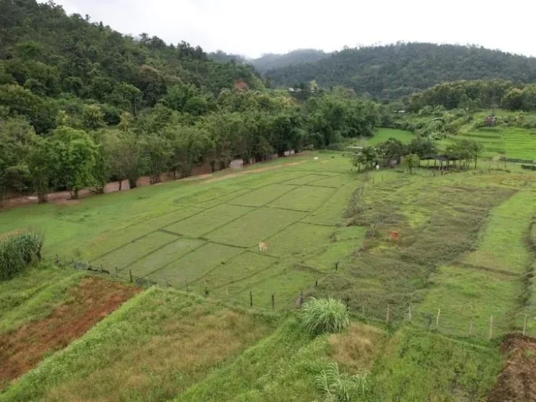 ขายที่ดินติดลำธารน้ำบ้านแม่สาบสะเมิงโฉนดพร้อมโอน