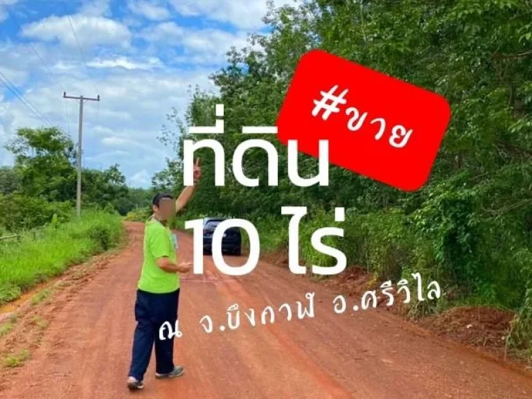 ขาย ที่ดิน อยู่ใกล้แหล่งชุมชน ศรีวิไล 10 ไร่ 8 งาน