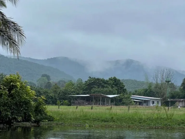 ขายด่วน บ้านสวน วิวดอย ทุ่งนา และสระน้ำ พื้นที่ 4 ไร่ 21 ตรว