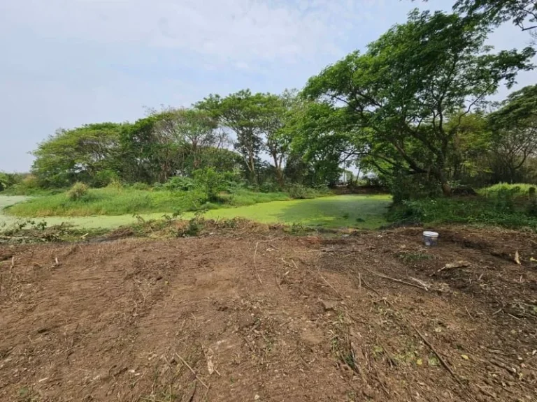 ที่ดินเปล่า เป็นโฉนดในโครงการ ถวงแหวนรอบสอง จังหวัดเชียงใหม่