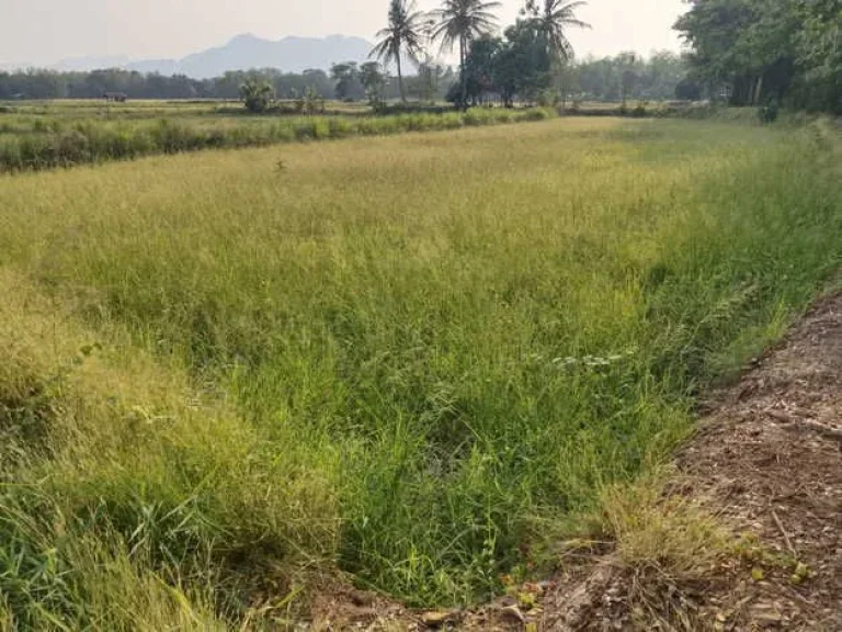 ขายที่ดิน ทำเลดี วิวสวย อำเภอภูผาม่าน จังหวัดขอนแก่น