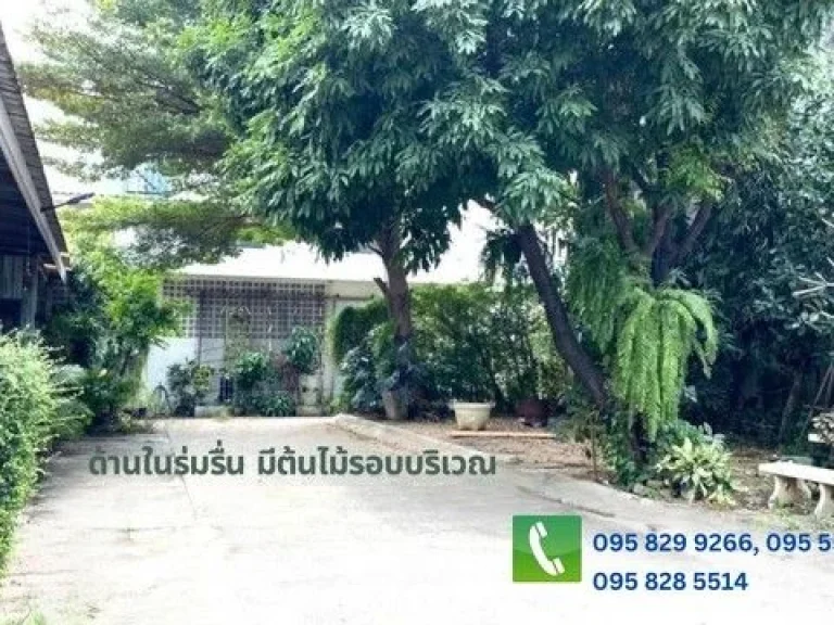 ขายถูกที่ดิน โกดังพร้อมบ้านเดี่ยว 310 ตรว ติดถเพชรเกษม 4