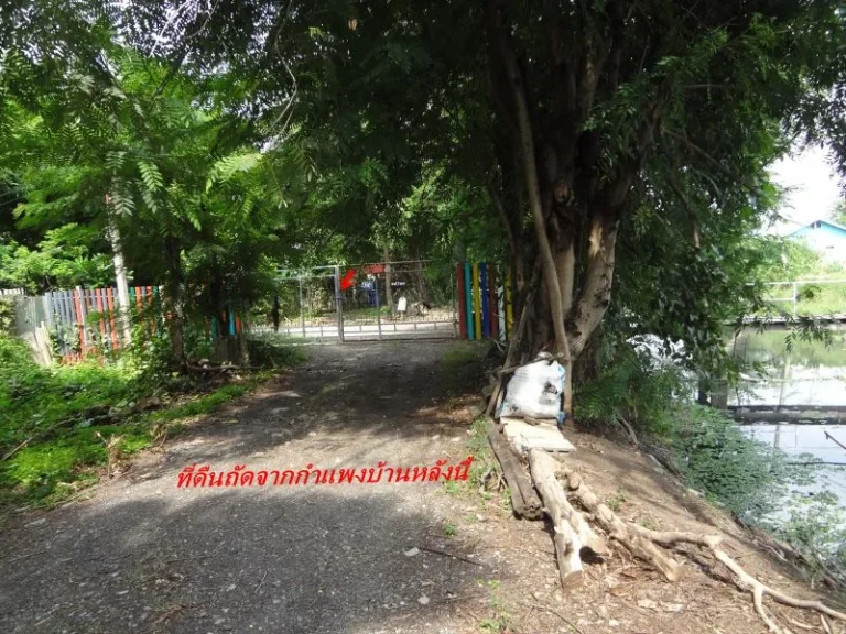 ที่ดินบางบัวทองถนนวัดลาดปลาดุก-คลองบ้านกล้วยพื้นที่391ตารางว