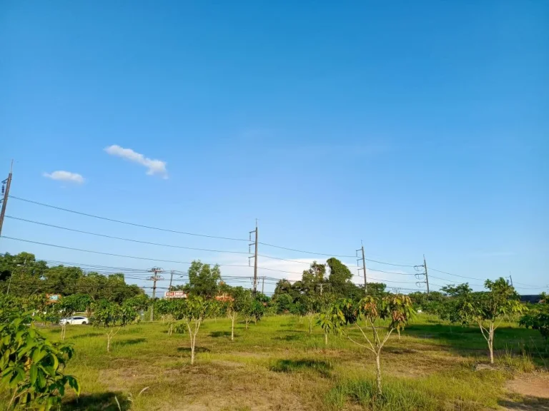 ขายที่ดินเปล่าติดถนนสุขุมวิท ใกล้ อบจเมืองตราด