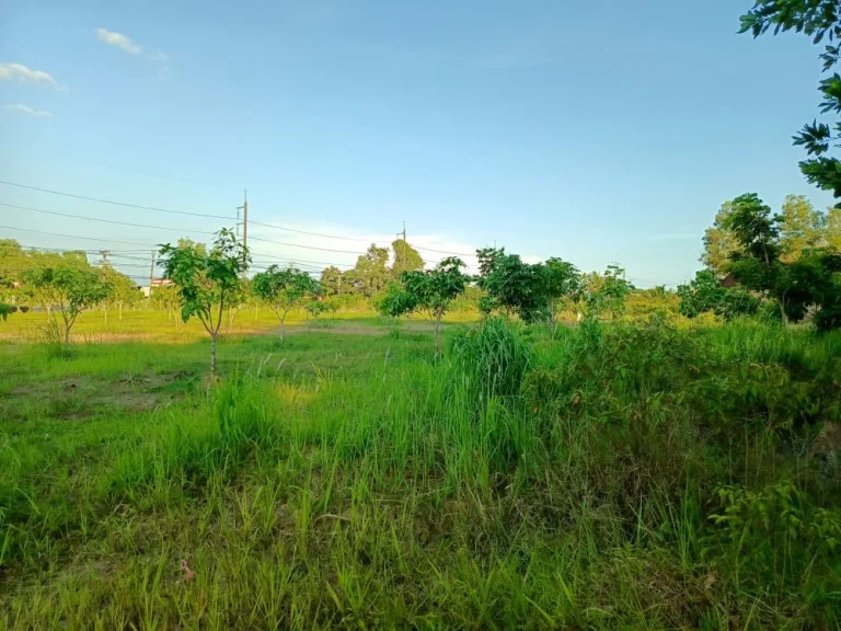 ขายที่ดินเปล่าติดถนนสุขุมวิท ใกล้ อบจเมืองตราด