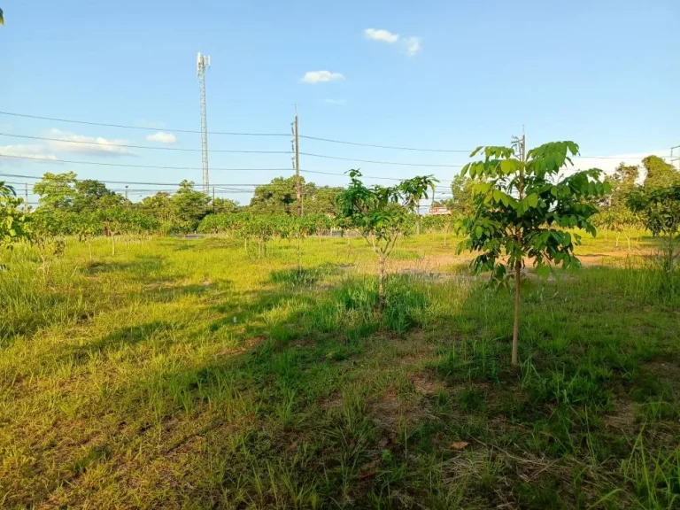 ขายที่ดินเปล่าติดถนนสุขุมวิท ใกล้ อบจเมืองตราด