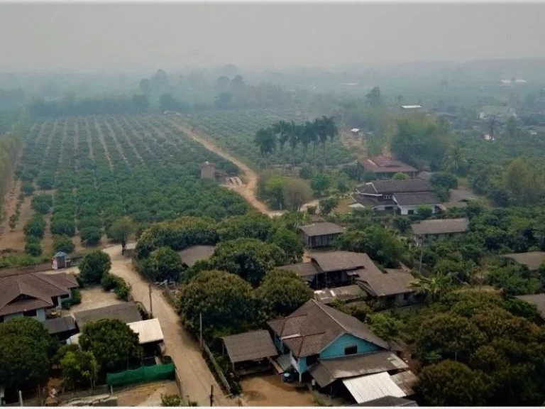 ที่สวนลำไยพร้อมบ้านหลังใหญ่ ติดถนน 2 ด้าน แม่สรวย ศรีถ้อย