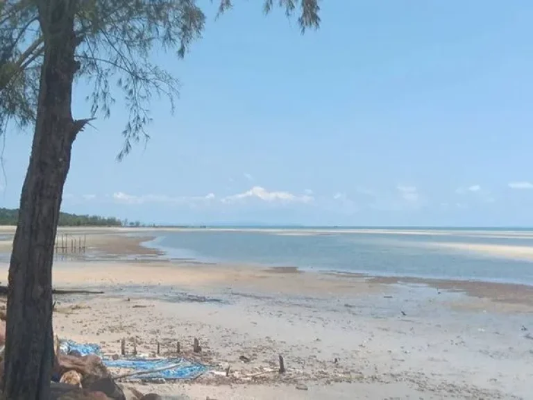 ขายที่ดินติดทะเล หาดไม้รูด อคลองใหญ่ จตราด รับนายหน้า