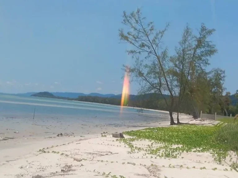 ขายที่ดินติดทะเล หาดไม้รูด อคลองใหญ่ จตราด รับนายหน้า